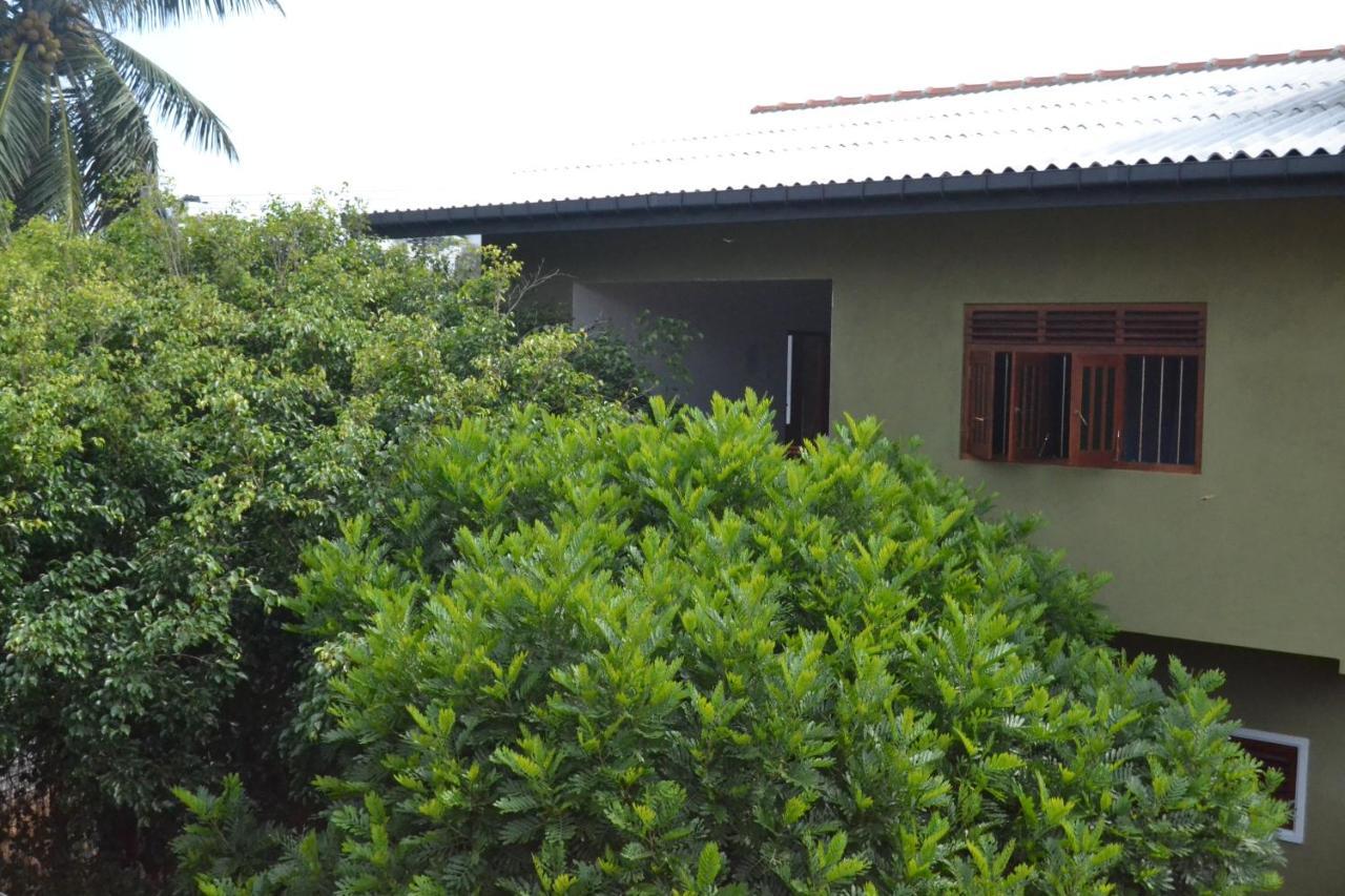 The Citadel Guest House Hikkaduwa Exteriör bild